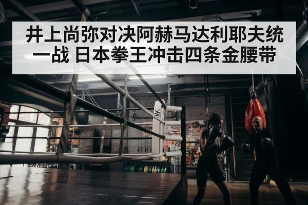 boxer training gym