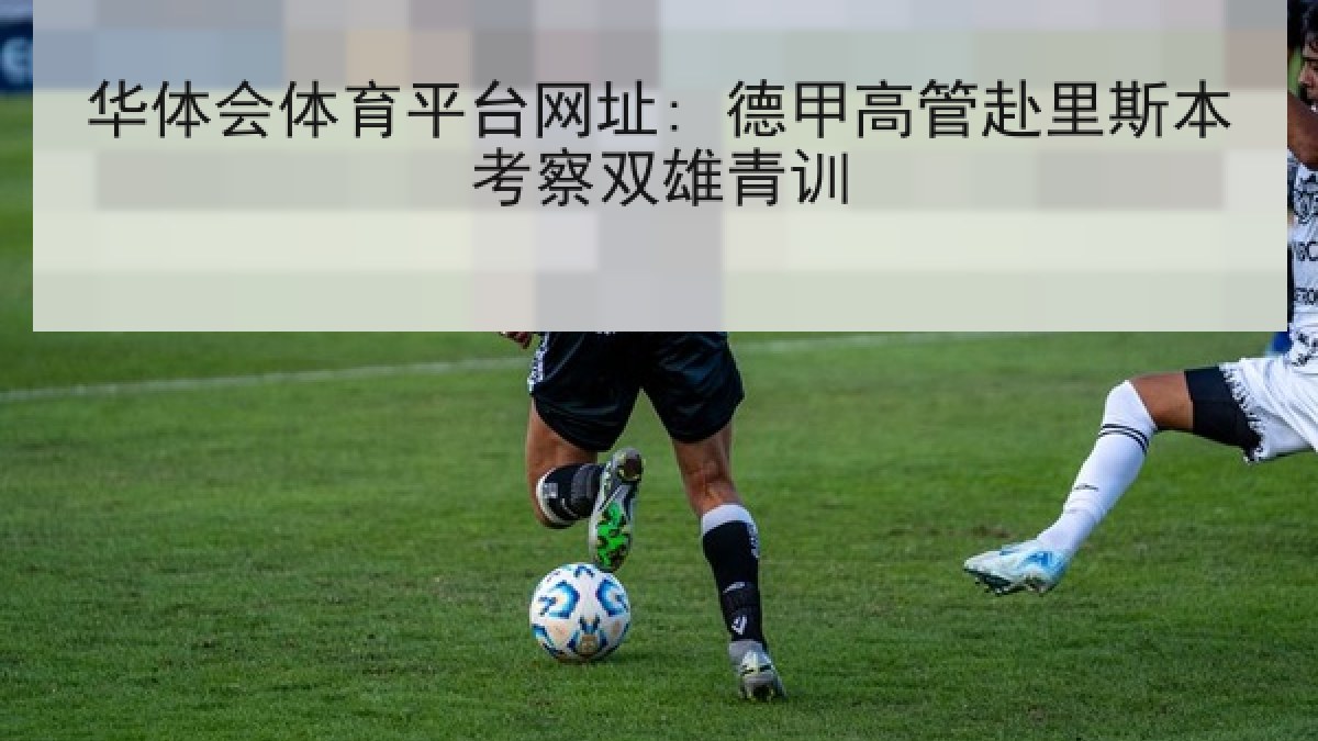 华体会体育平台网址: 德甲高管赴里斯本考察双雄青训
