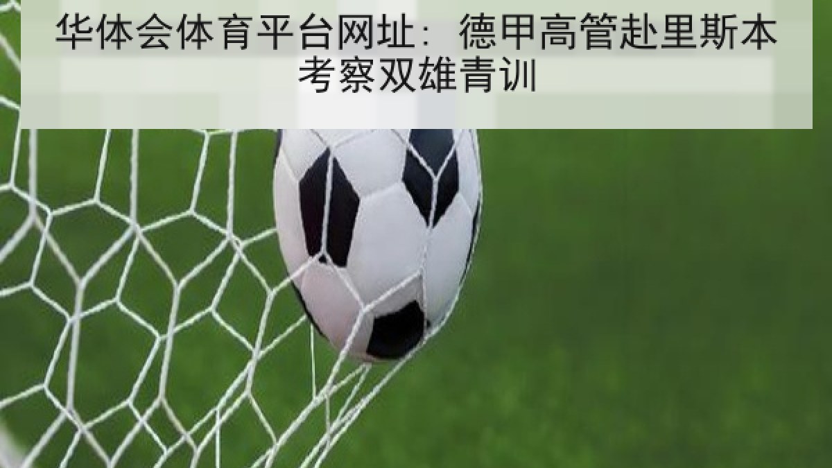 华体会体育平台网址: 德甲高管赴里斯本考察双雄青训